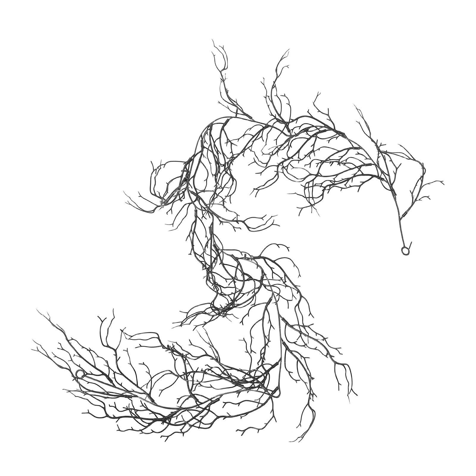 Branch Curly Willow - Ramas de sauce rizadas negras flexibles,