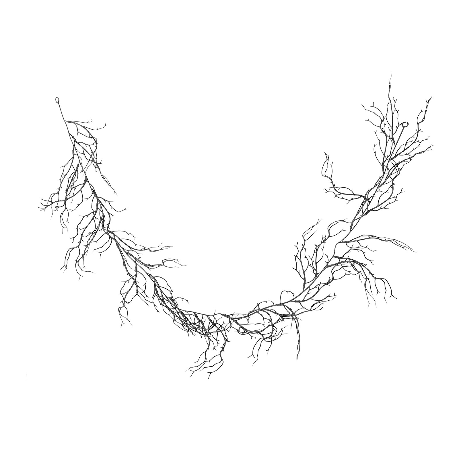 Branch Curly Willow - Guirnalda de Ramas de Sauce Rizadas